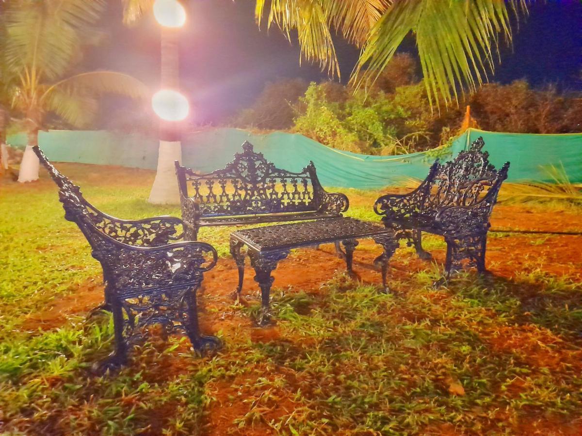 אליבג Ilif 2790 David'S Resort מראה חיצוני תמונה