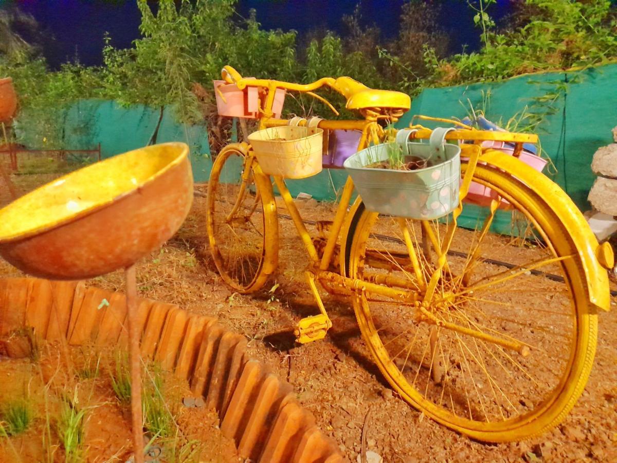 אליבג Ilif 2790 David'S Resort מראה חיצוני תמונה